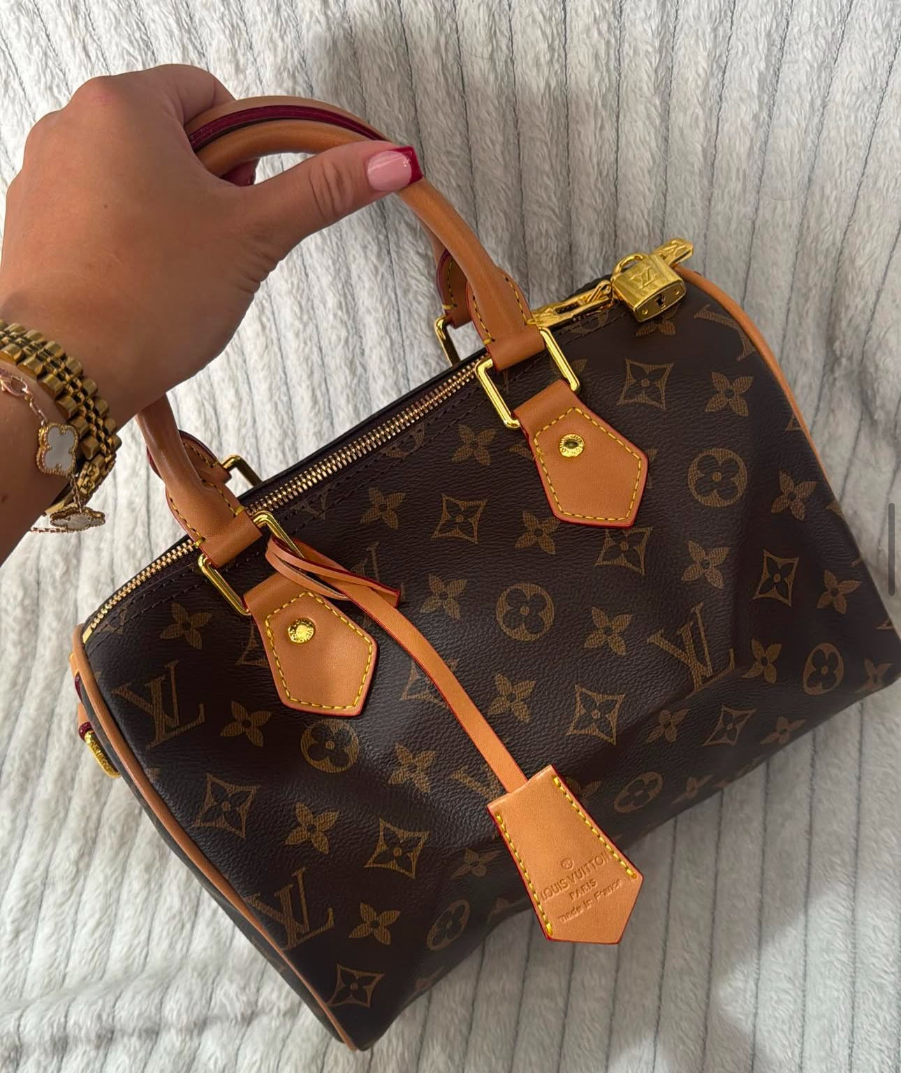 LV Speedy Bag